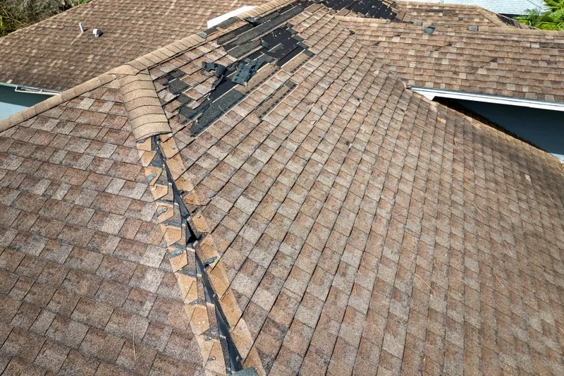Example report photo: damaged roof shingles